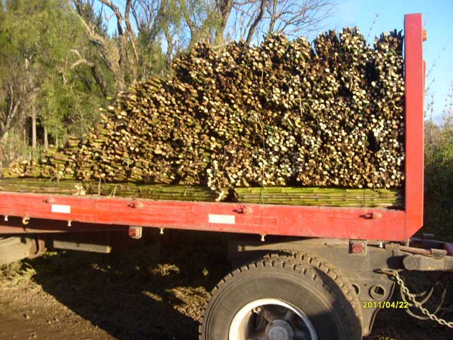 Ampliar - Más información clic aquí....