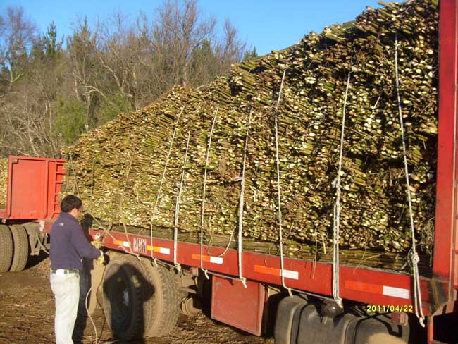 Ampliar - Más información clic aquí....