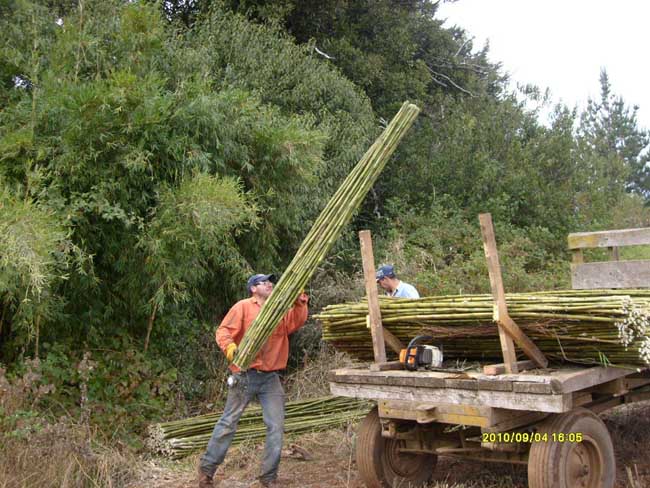 Ampliar - Más información clic aquí....