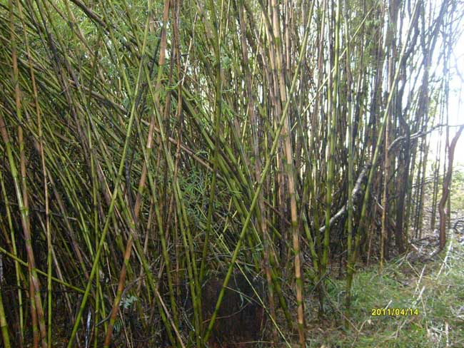 Ampliar - Más información clic aquí....