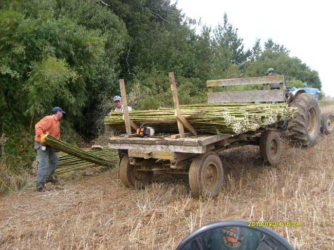 Ampliar - Más información clic aquí....