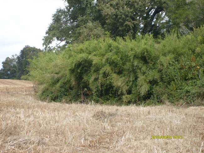 Ampliar - Más información clic aquí....